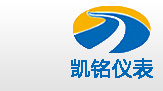 金湖茄子视频更懂你仪表有限公司LOGO